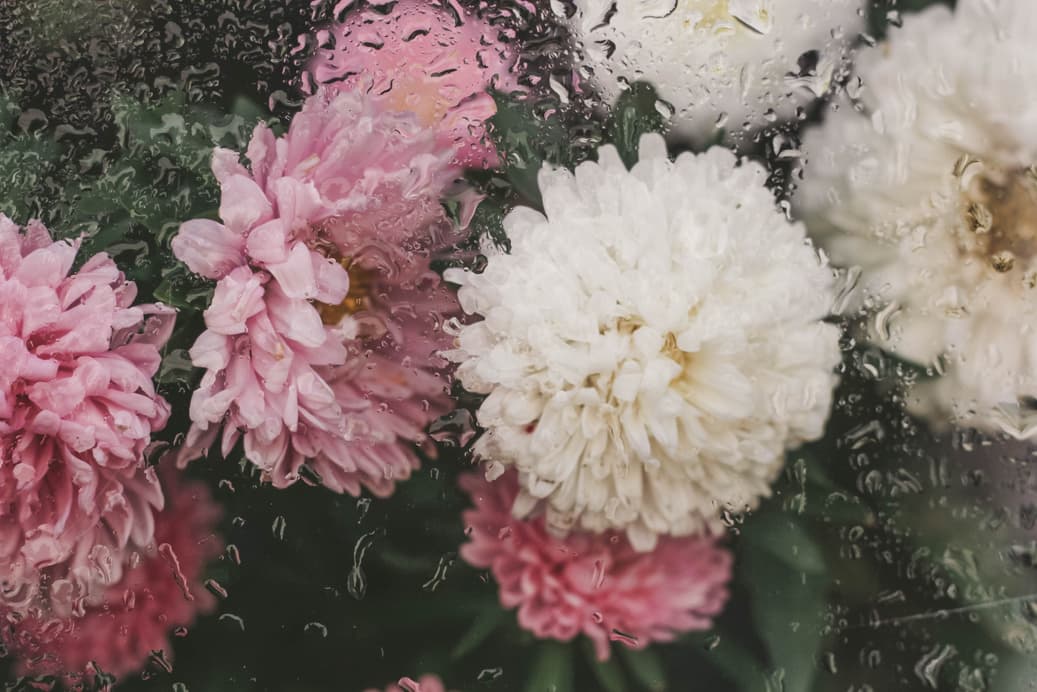 Pink and white flowers in a soft floral arrangement